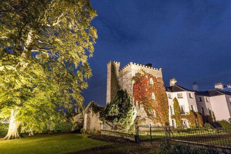 Barberstown Castle Hotel Straffan Exterior photo
